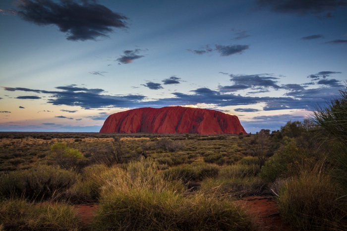 Fledermausschaukel in Australien